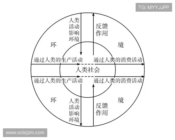 B费：从前腰到自由核心的角色演变解析