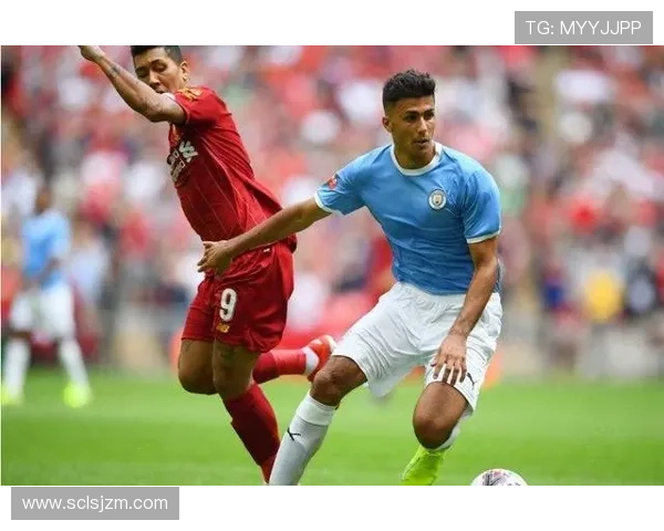 内维斯与赖斯：调度能力与覆盖能力对比分析